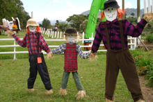 Edición 2007