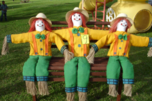 Edición 2008